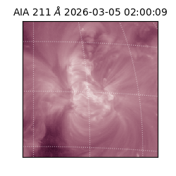 saia - 2026-03-05T02:00:09.633000