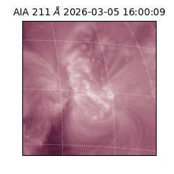 saia - 2026-03-05T16:00:09.626000