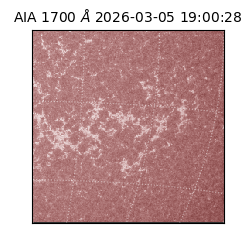 saia - 2026-03-05T19:00:28.720000