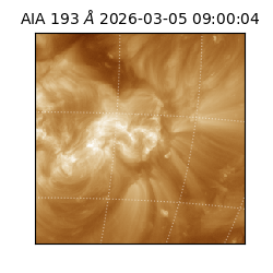 saia - 2026-03-05T09:00:04.835000