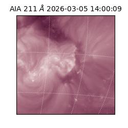 saia - 2026-03-05T14:00:09.626000