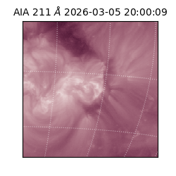 saia - 2026-03-05T20:00:09.626000