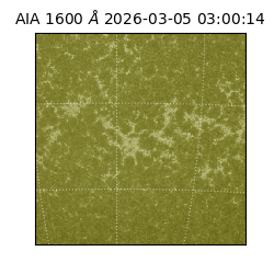 saia - 2026-03-05T03:00:14.126000