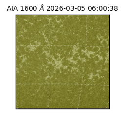 saia - 2026-03-05T06:00:38.131000