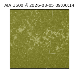 saia - 2026-03-05T09:00:14.117000