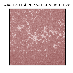 saia - 2026-03-05T08:00:28.717000