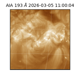 saia - 2026-03-05T11:00:04.843000