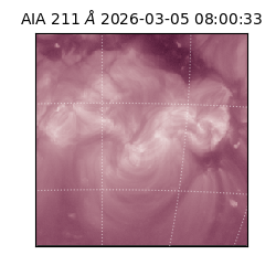 saia - 2026-03-05T08:00:33.625000