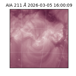 saia - 2026-03-05T16:00:09.626000