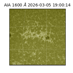 saia - 2026-03-05T19:00:14.118000