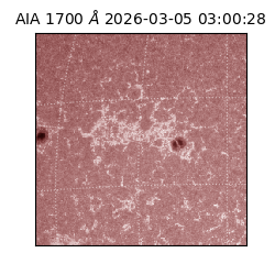 saia - 2026-03-05T03:00:28.709000