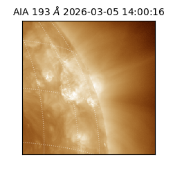 saia - 2026-03-05T14:00:16.838000