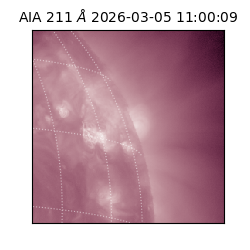 saia - 2026-03-05T11:00:09.622000