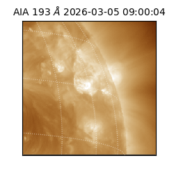 saia - 2026-03-05T09:00:04.835000