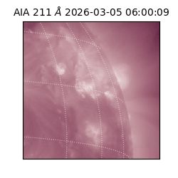 saia - 2026-03-05T06:00:09.629000