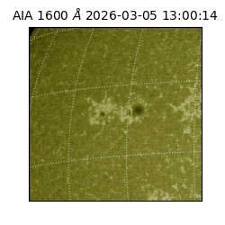 saia - 2026-03-05T13:00:14.126000