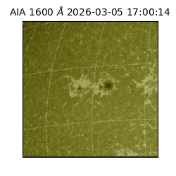 saia - 2026-03-05T17:00:14.118000