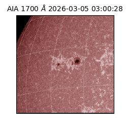 saia - 2026-03-05T03:00:28.709000