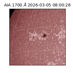 saia - 2026-03-05T08:00:28.717000