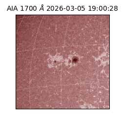 saia - 2026-03-05T19:00:28.720000