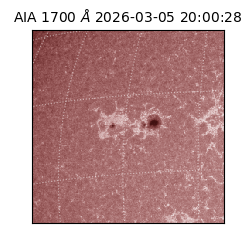 saia - 2026-03-05T20:00:28.717000