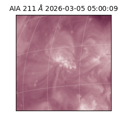 saia - 2026-03-05T05:00:09.629000