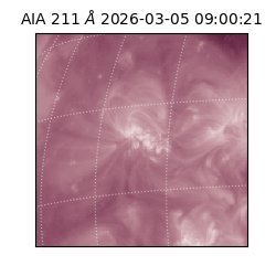 saia - 2026-03-05T09:00:21.631000