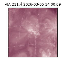 saia - 2026-03-05T14:00:09.626000