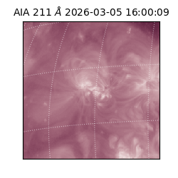 saia - 2026-03-05T16:00:09.626000