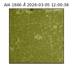 saia - 2026-03-05T12:00:38.125000