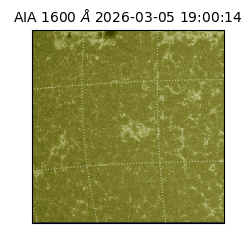 saia - 2026-03-05T19:00:14.118000