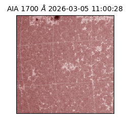 saia - 2026-03-05T11:00:28.717000