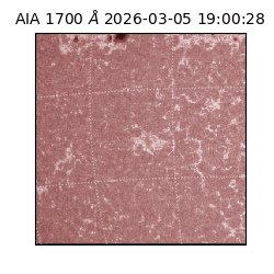 saia - 2026-03-05T19:00:28.720000