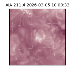 saia - 2026-03-05T10:00:33.618000