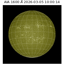 saia - 2026-03-05T10:00:14.126000