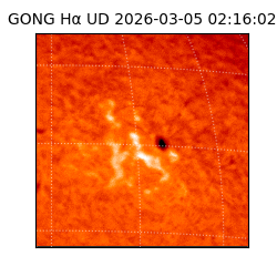 gong - 2026-03-05T02:16:02