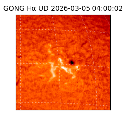 gong - 2026-03-05T04:00:02