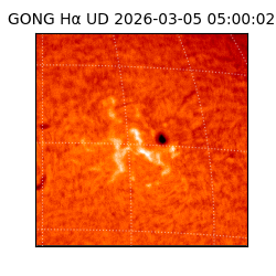 gong - 2026-03-05T05:00:02