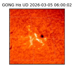 gong - 2026-03-05T06:00:02