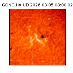 gong - 2026-03-05T08:00:02