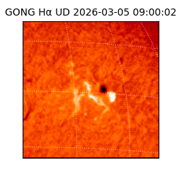 gong - 2026-03-05T09:00:02