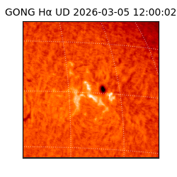 gong - 2026-03-05T12:00:02