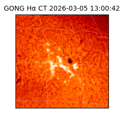 gong - 2026-03-05T13:00:42