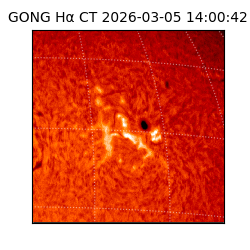 gong - 2026-03-05T14:00:42