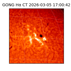 gong - 2026-03-05T17:00:42