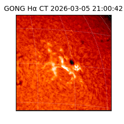 gong - 2026-03-05T21:00:42