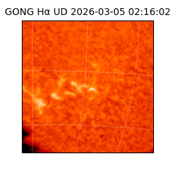 gong - 2026-03-05T02:16:02