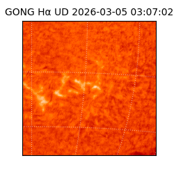 gong - 2026-03-05T03:07:02