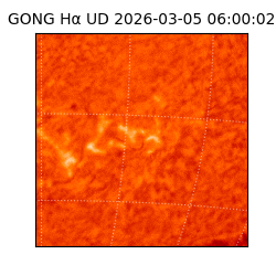 gong - 2026-03-05T06:00:02