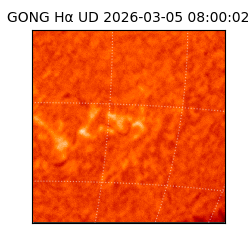 gong - 2026-03-05T08:00:02